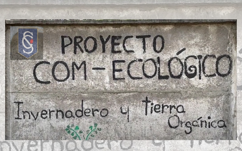 Proyecto Ecológico COM: Invernadero y Tierra Orgánica